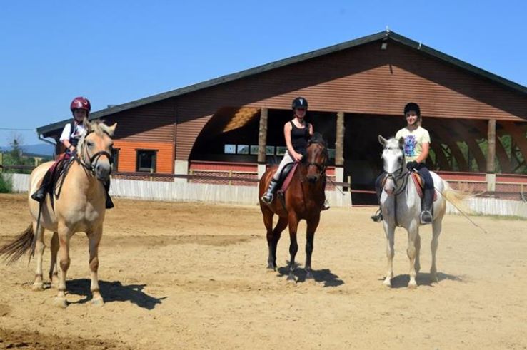 Nowhere Island Amusement Park Trip Packages