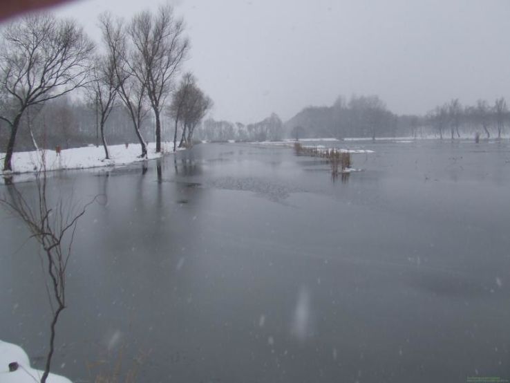 Naszaly Trip Packages