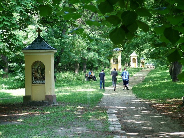 Seven Chapel Trip Packages