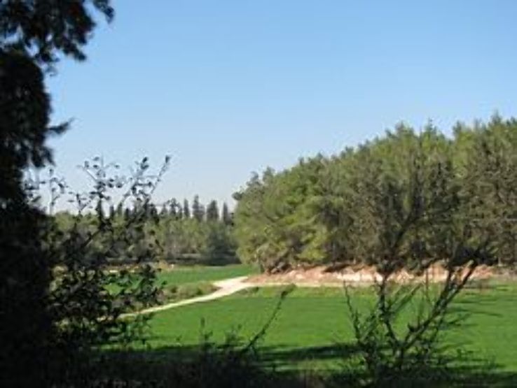 Ben Shemen Forest Trip Packages