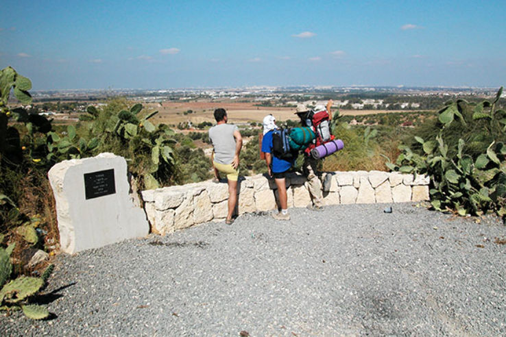 Ben Shemen Forest Trip Packages