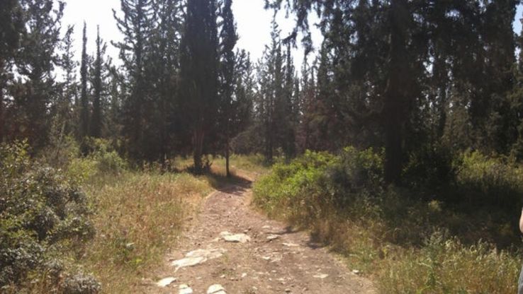Ben Shemen Forest Trip Packages