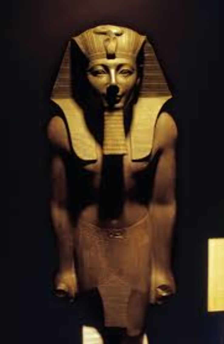 Luxor Museum Trip Packages