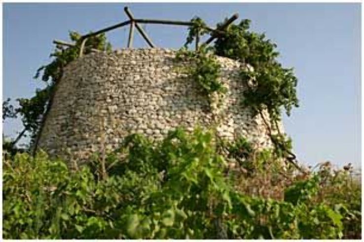 Neot Kedumim Trip Packages