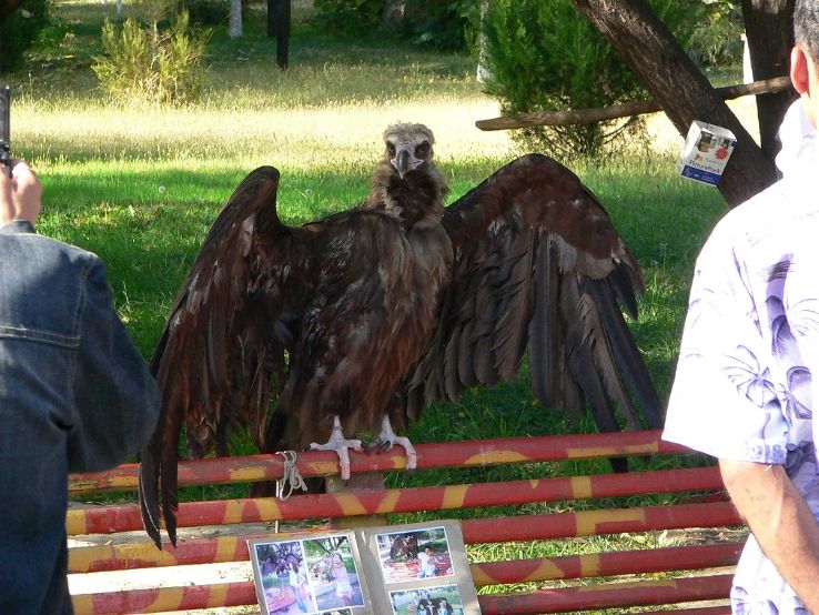 Tashkent Zoo Trip Packages