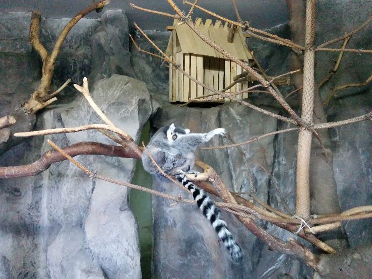 Tashkent Zoo Trip Packages