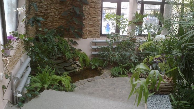 Winter Garden Trip Packages Winter Garden Trip Packages