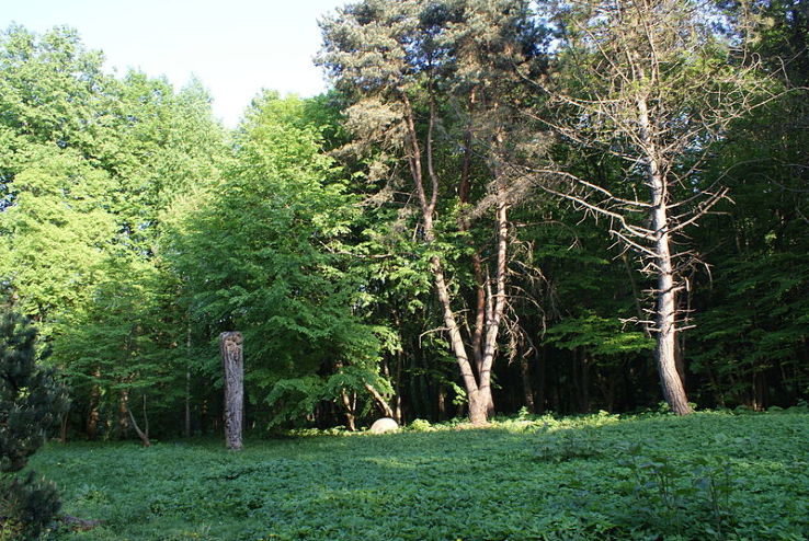 Minsk Botanical Garden Trip Packages