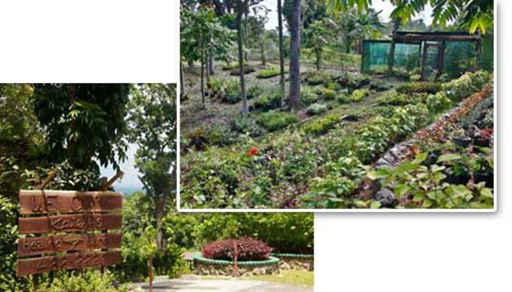 Katey s Healing Garden Trip Packages