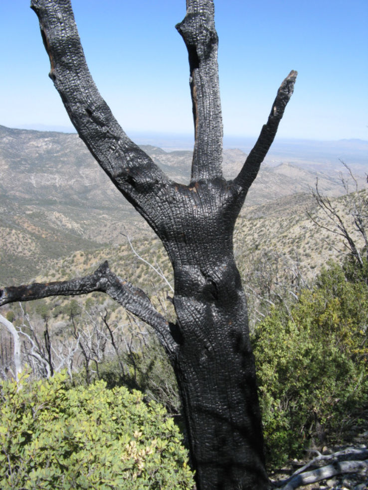 Hiking Trail Trip Packages