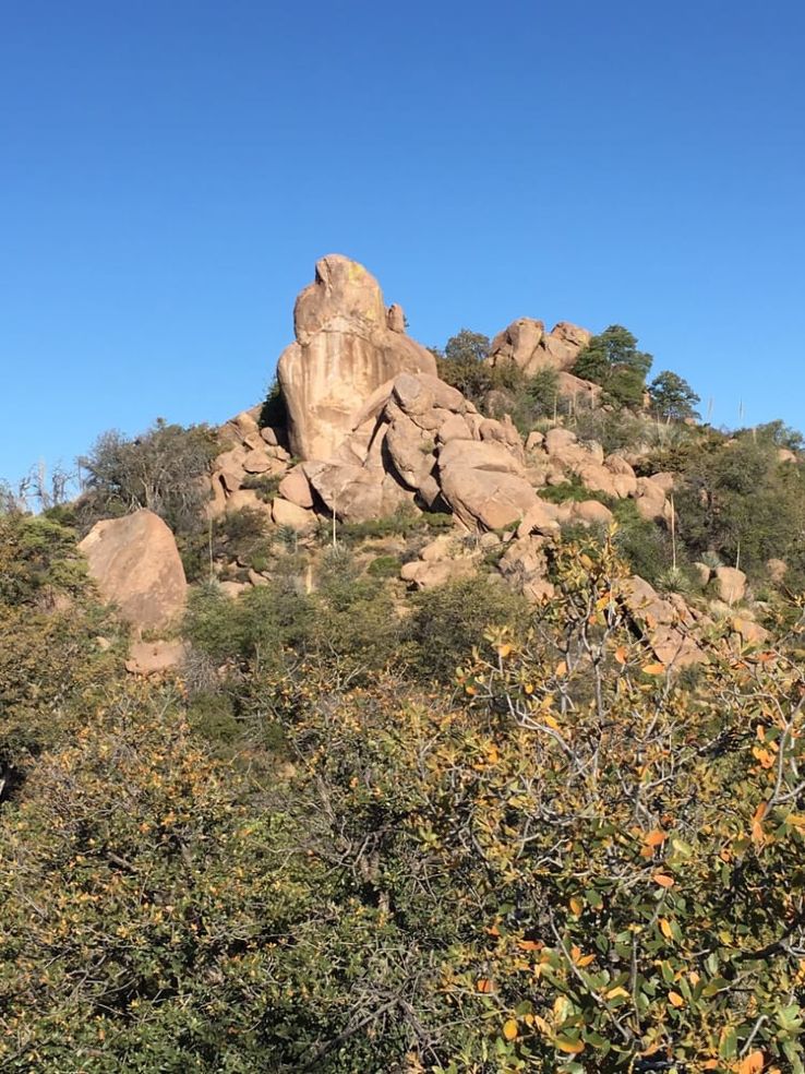 C.O.D. Ranch Trip Packages