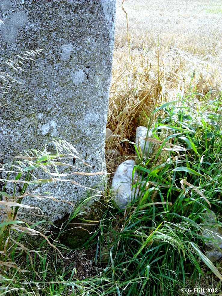 Craddockstown West Standing Stone Trip Packages