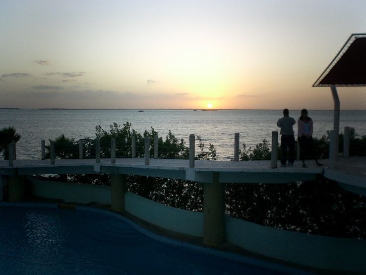 Interactive Aquarium Trip Packages