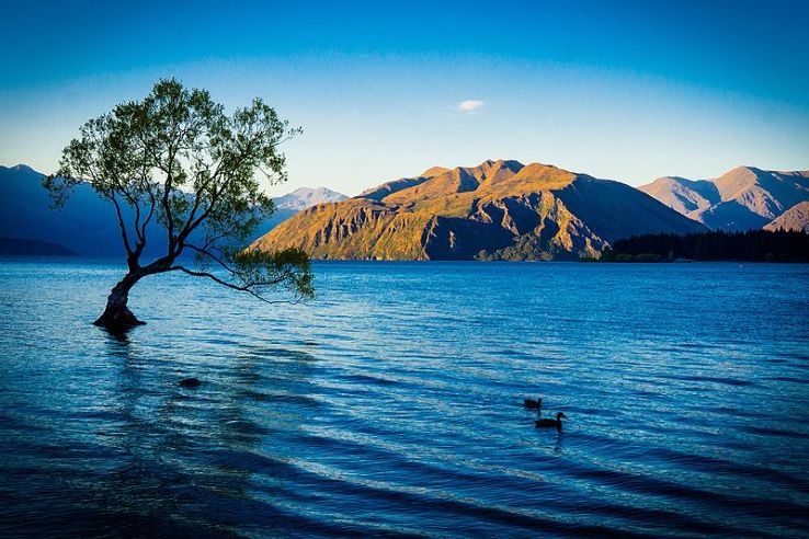 Lake Wanaka Trip Packages