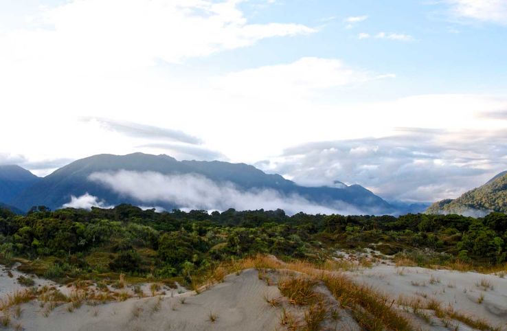 Hollyford Track Trip Packages