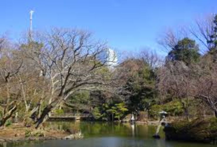 Arisugawa-no-miya Memorial Park  Trip Packages