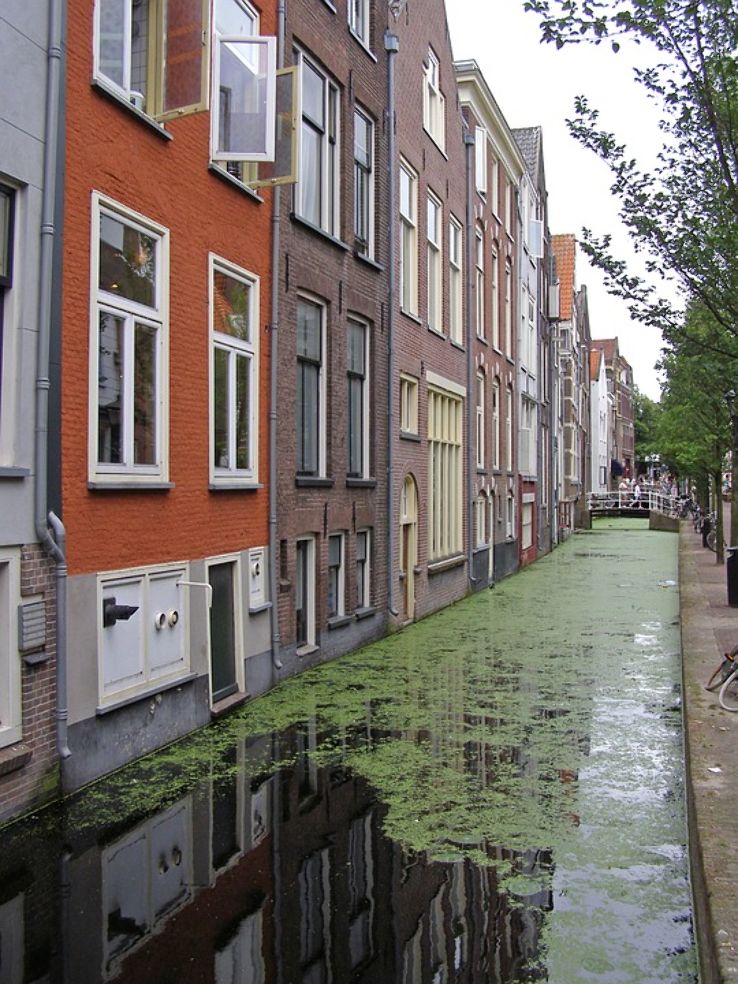Canals of Delft Trip Packages