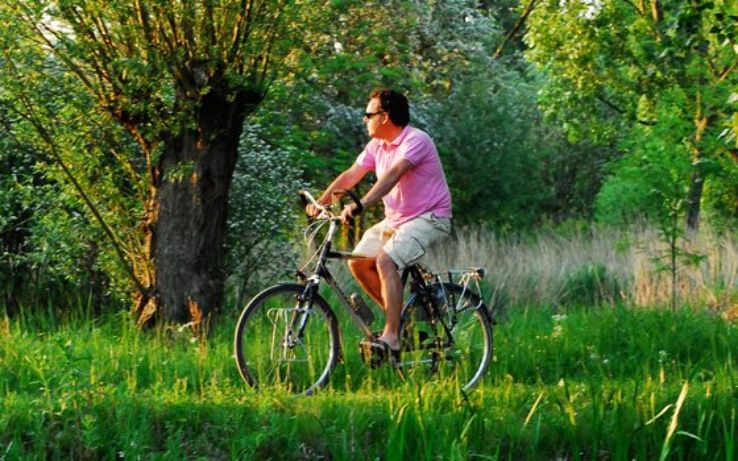 Delft Bicycle Itinerary Trip Packages