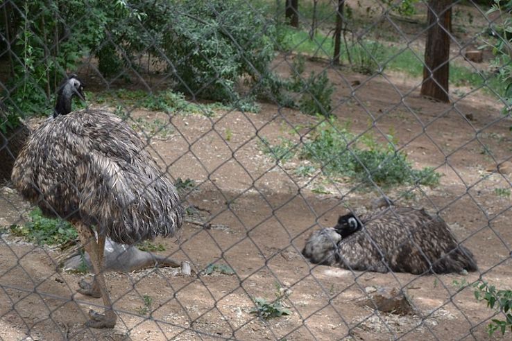 Guadalajara Zoo Trip Packages