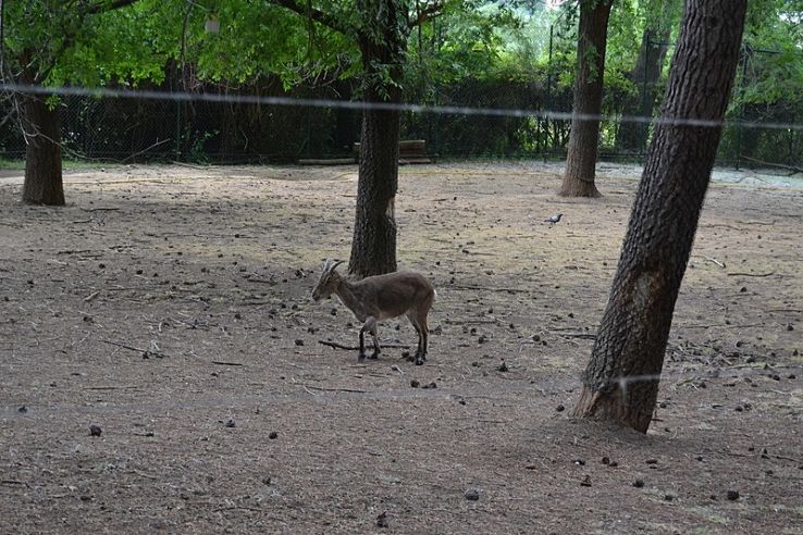Guadalajara Zoo Trip Packages