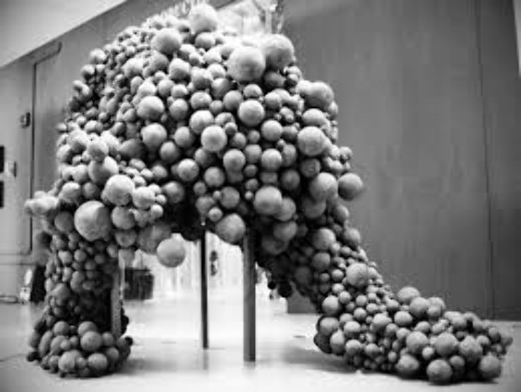 Villa Zebra Trip Packages