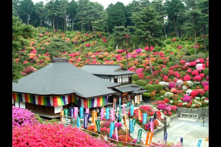 Shiofunekannon-ji Temple Trip Packages