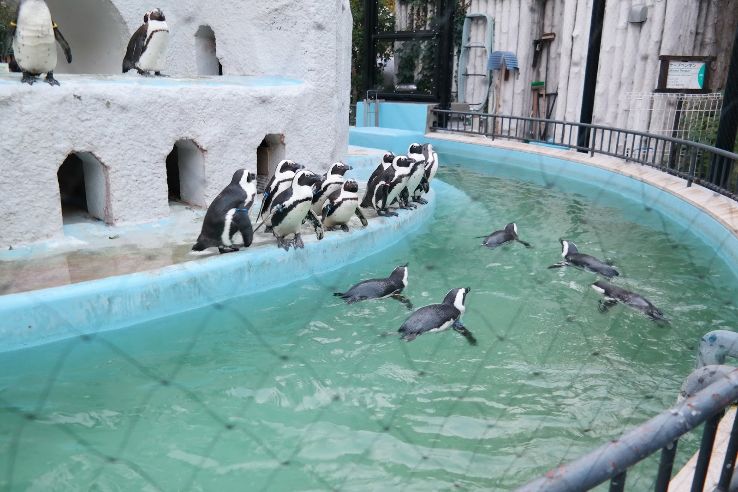 Hamura Zoo Trip Packages