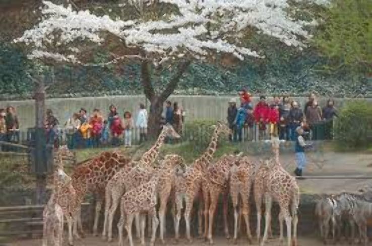 Hamura Zoo Trip Packages