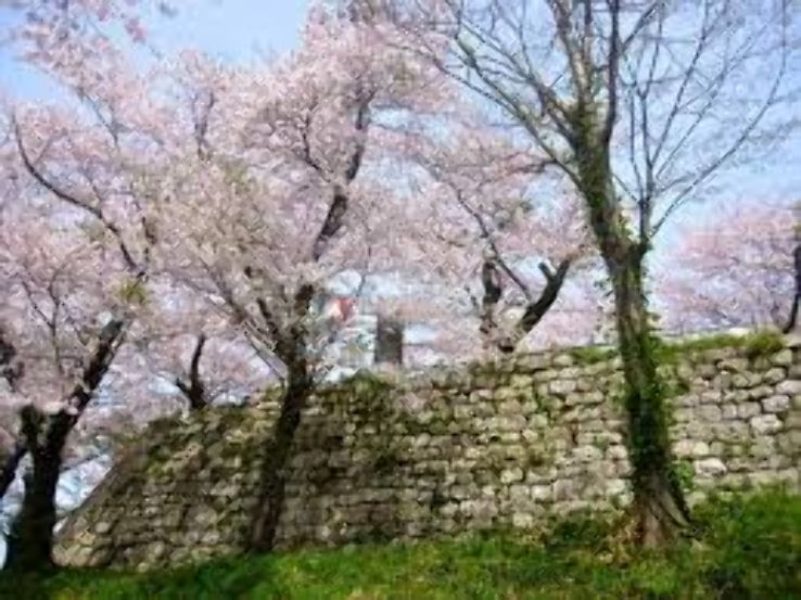 Murakami Castle Trip Packages