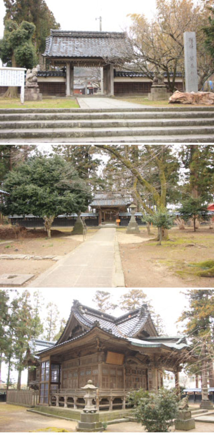 Fujimoto Shrine Trip Packages