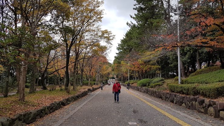 Nakagawa Kasenjiki Ryokuchi Park Trip Packages