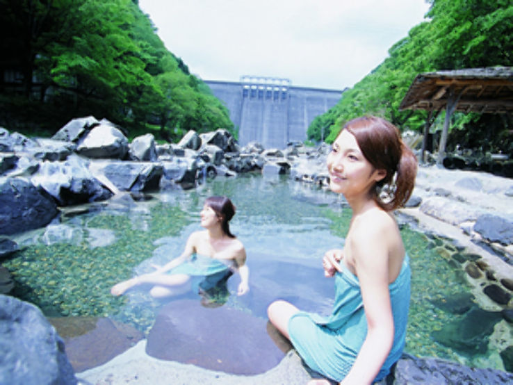 Himawari Hot Spring Trip Packages