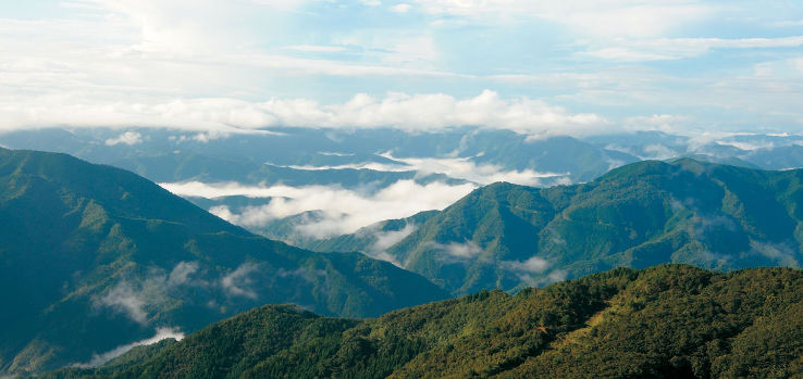 Sea of clouds Trip Packages