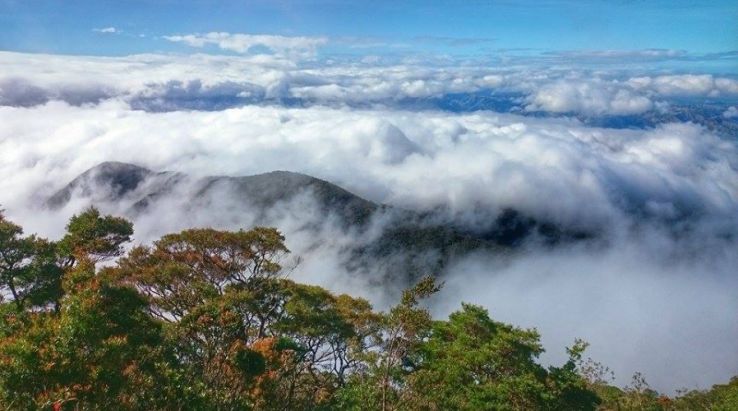 Sea of clouds Trip Packages