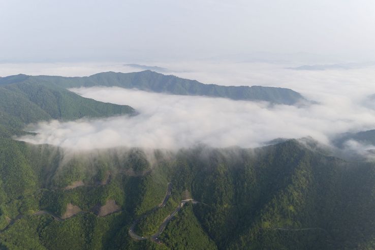 Sea of clouds Trip Packages