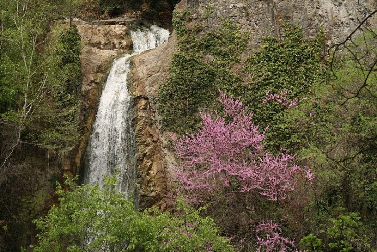 National Botanical Garden of Georgia Trip Packages