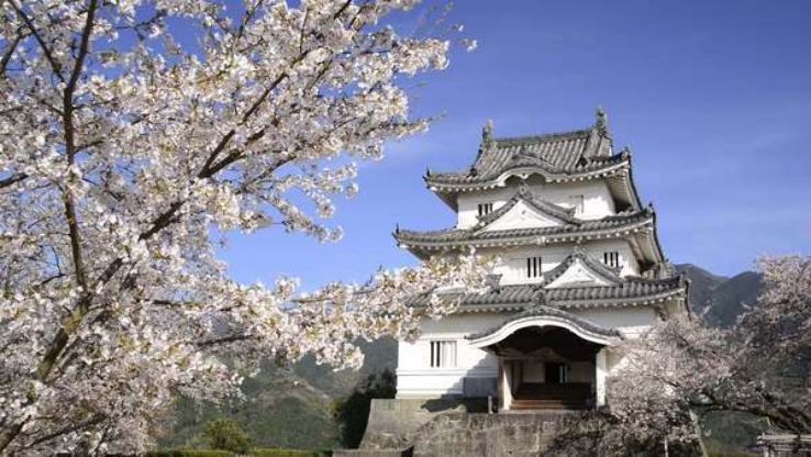 Cherry blossoms Trip Packages