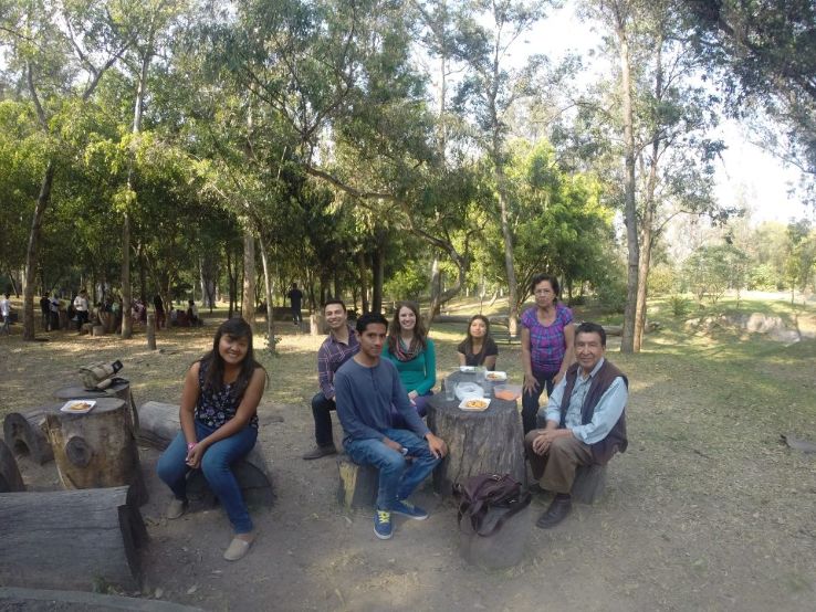 Los Colomos Trip Packages