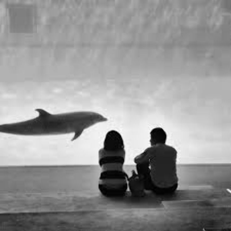 Port of Nagoya Public Aquariu Trip Packages