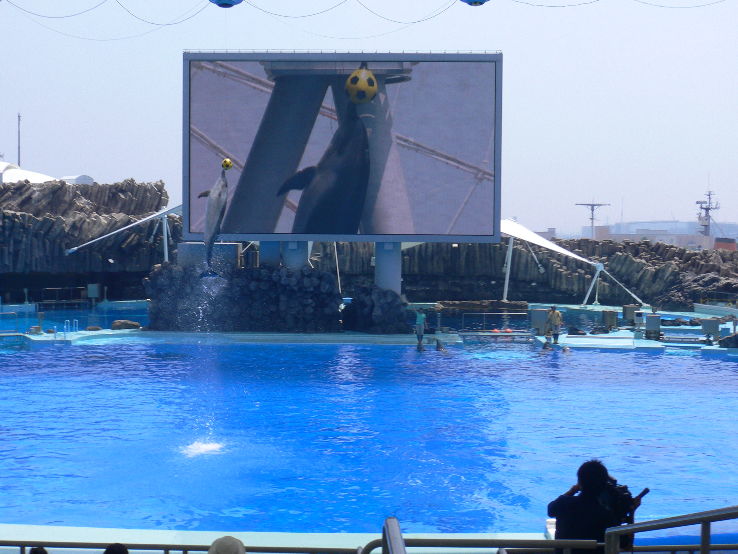 Port of Nagoya Public Aquariu Trip Packages