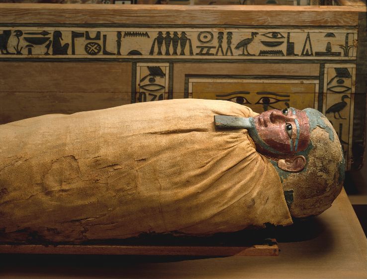 Mummification Museum Trip Packages