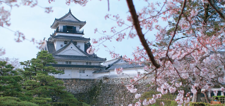 Kochi Castle Trip Packages