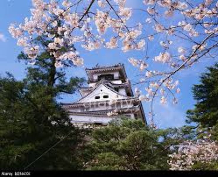 Kochi Castle Trip Packages