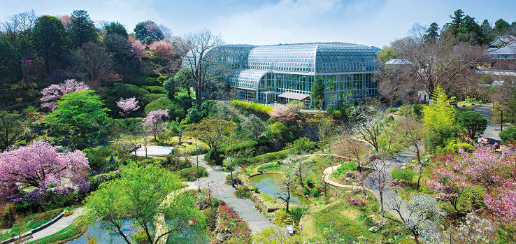 Kochi Prefectural Makino Botanical Garden Trip Packages