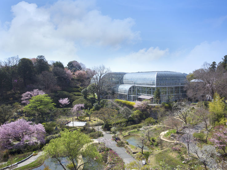 Kochi Prefectural Makino Botanical Garden Trip Packages