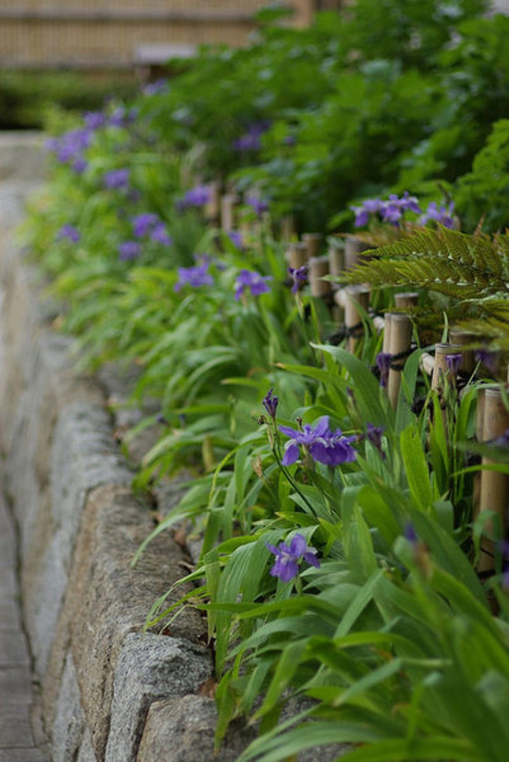 Tokugawa Garden Trip Packages Tokugawa Garden Trip Packages