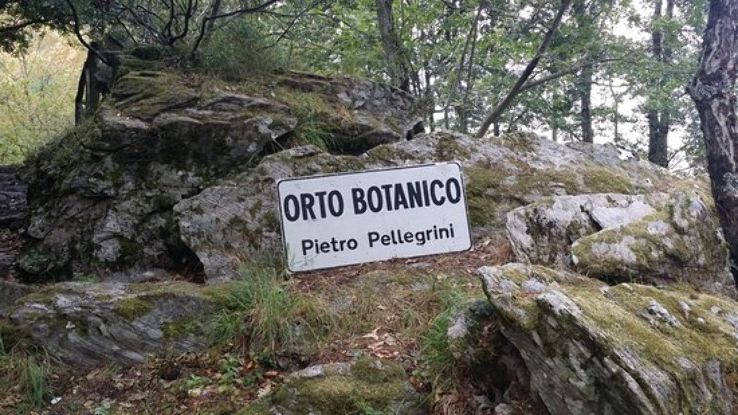 Orto Botanico delle Alpi Apuane Pietro Pellegrini Trip Packages