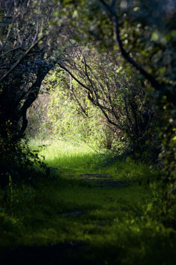 Saline Nature Reserve Priolo Trip Packages