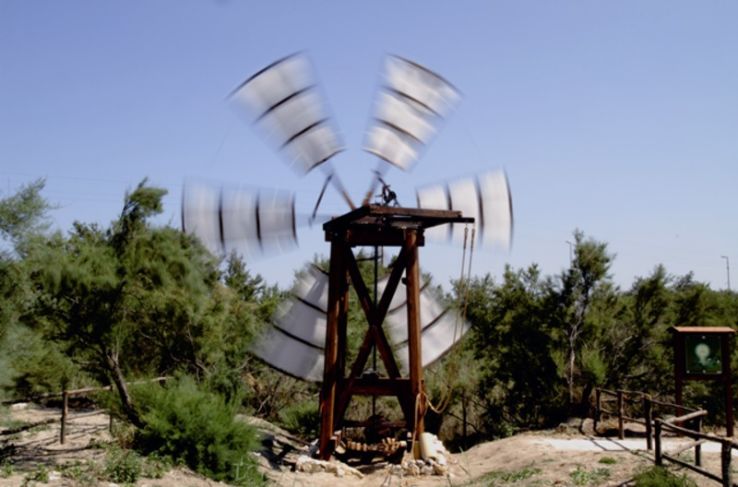 Saline Nature Reserve Priolo Trip Packages