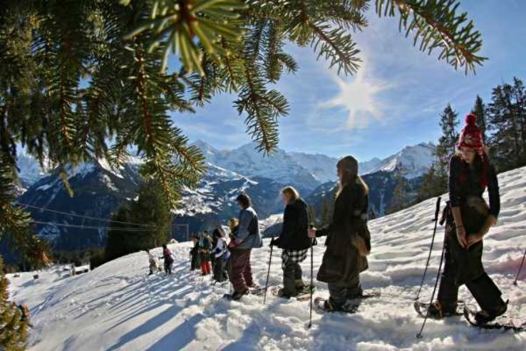 Adrenaline Snowshoeing Trip Packages